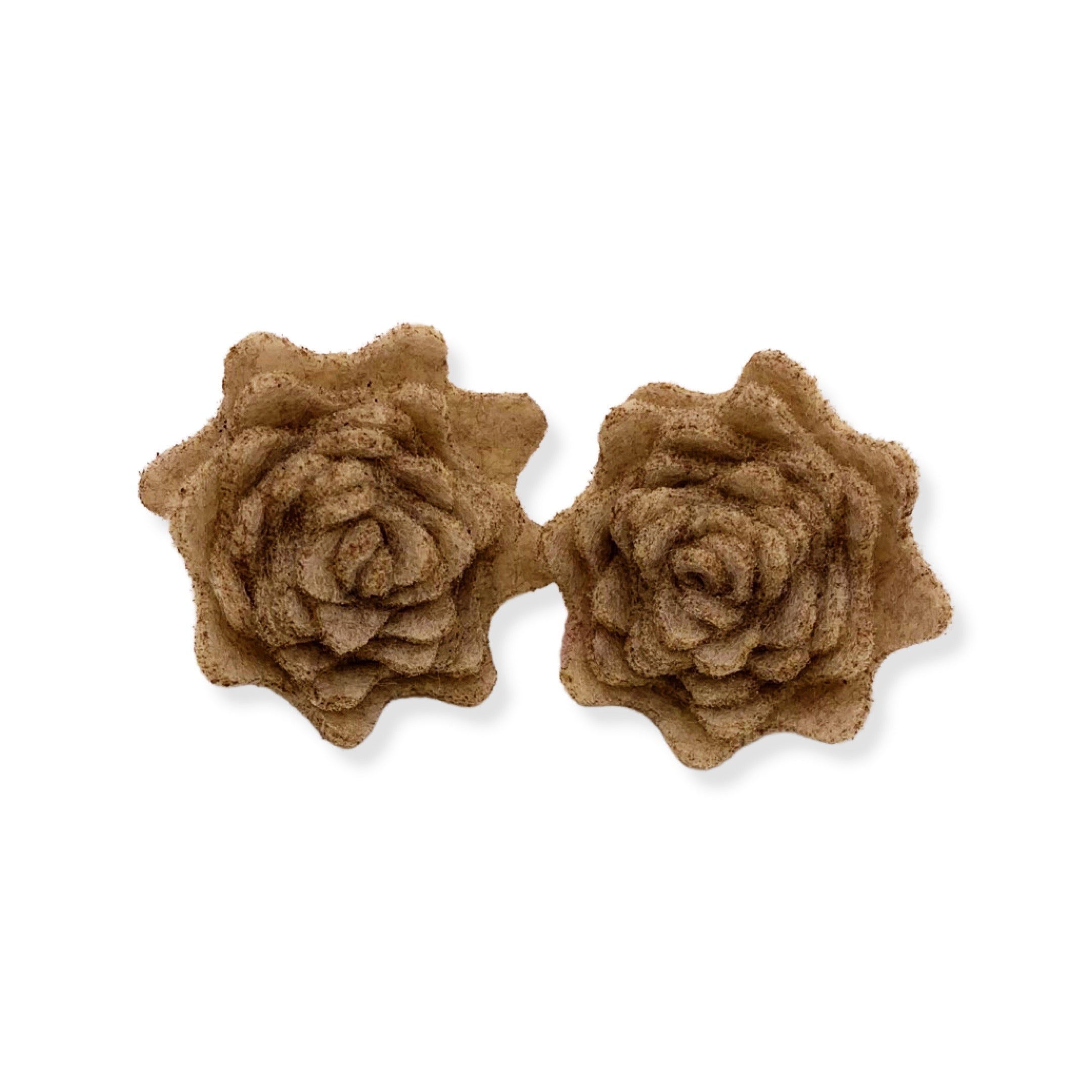 Succulent Earrings (Spring Colors)